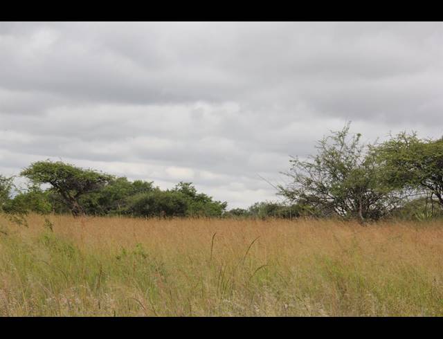 23HA VACANT LAND FOR SALE IN BENDOR